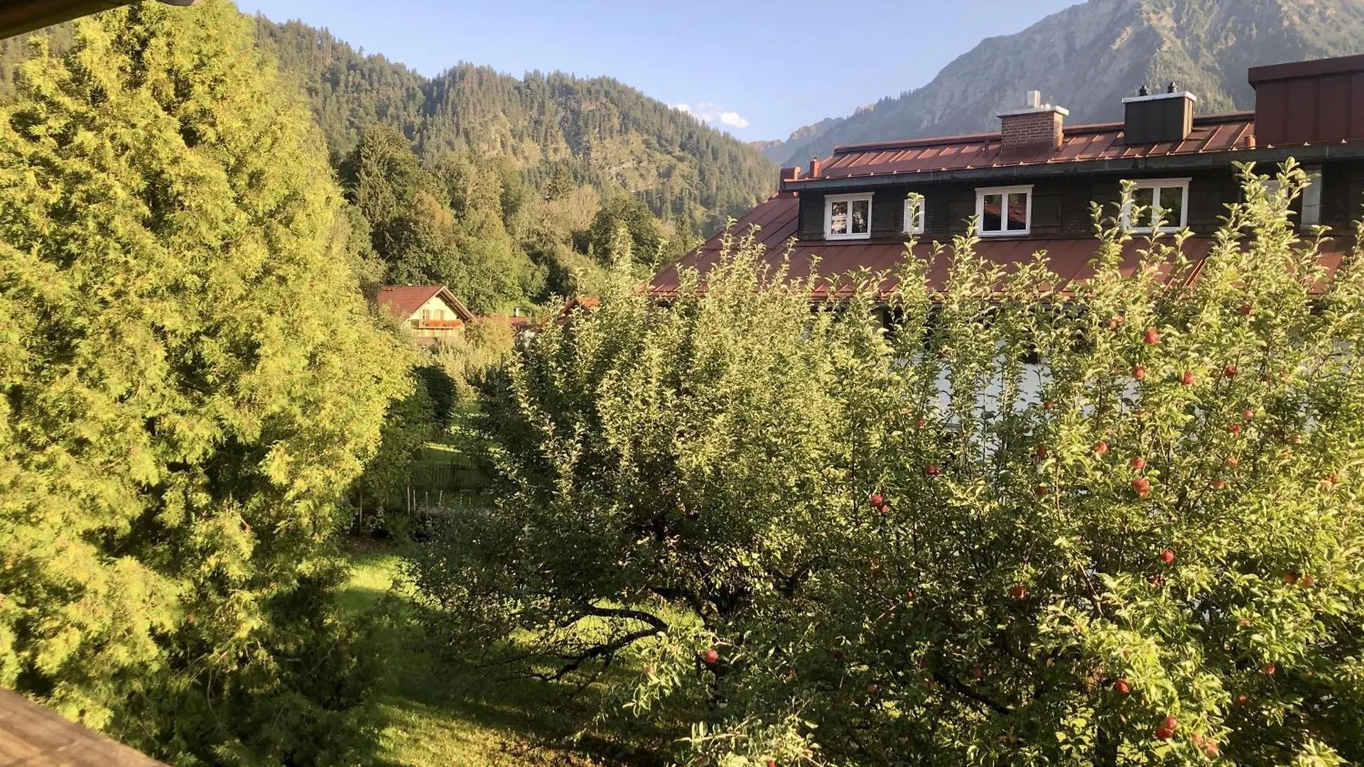 Haus Huber Apartment Bad Hindelang Germany